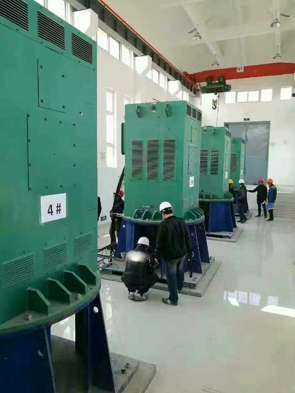 永泰某污水处理厂使用我厂的立式高压电机安装现场安装尺寸